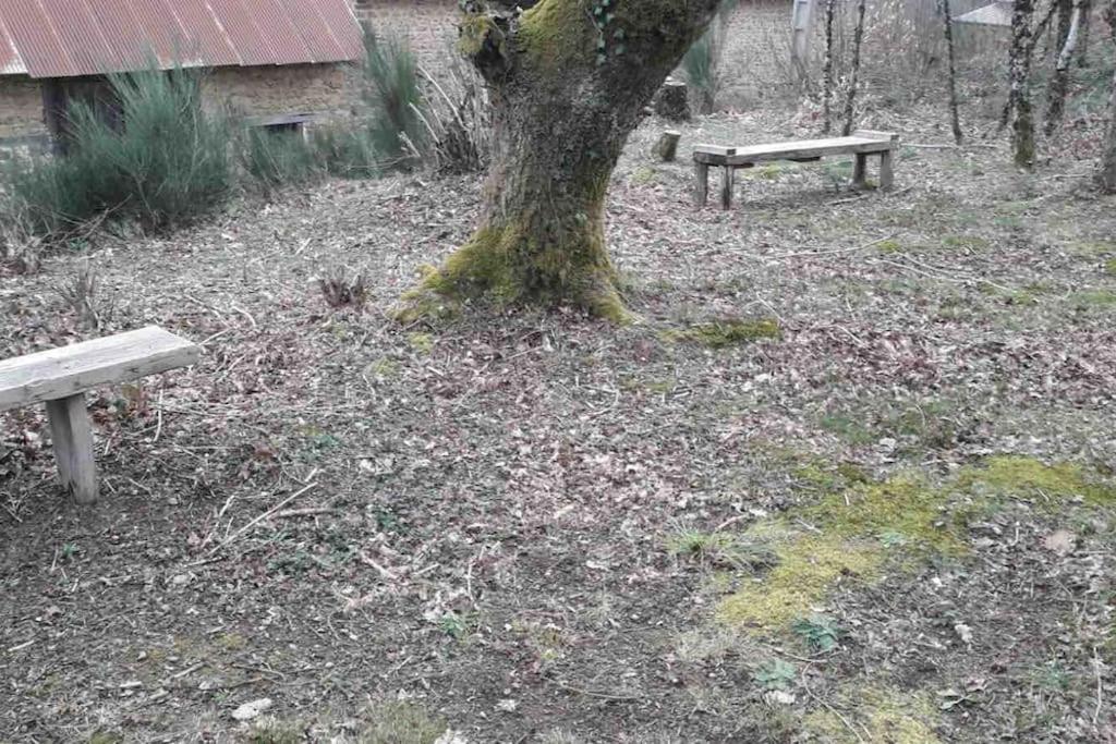 Gite Maison Du Trottoir, Sussac Eksteriør billede